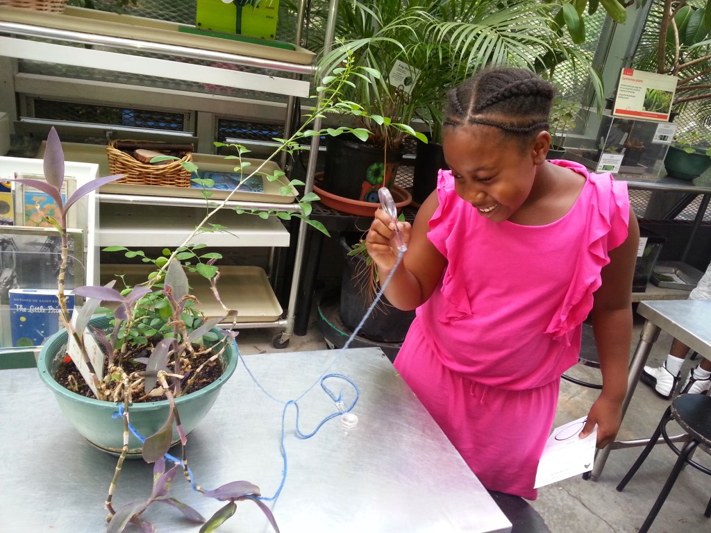 Girl in pink and a plant